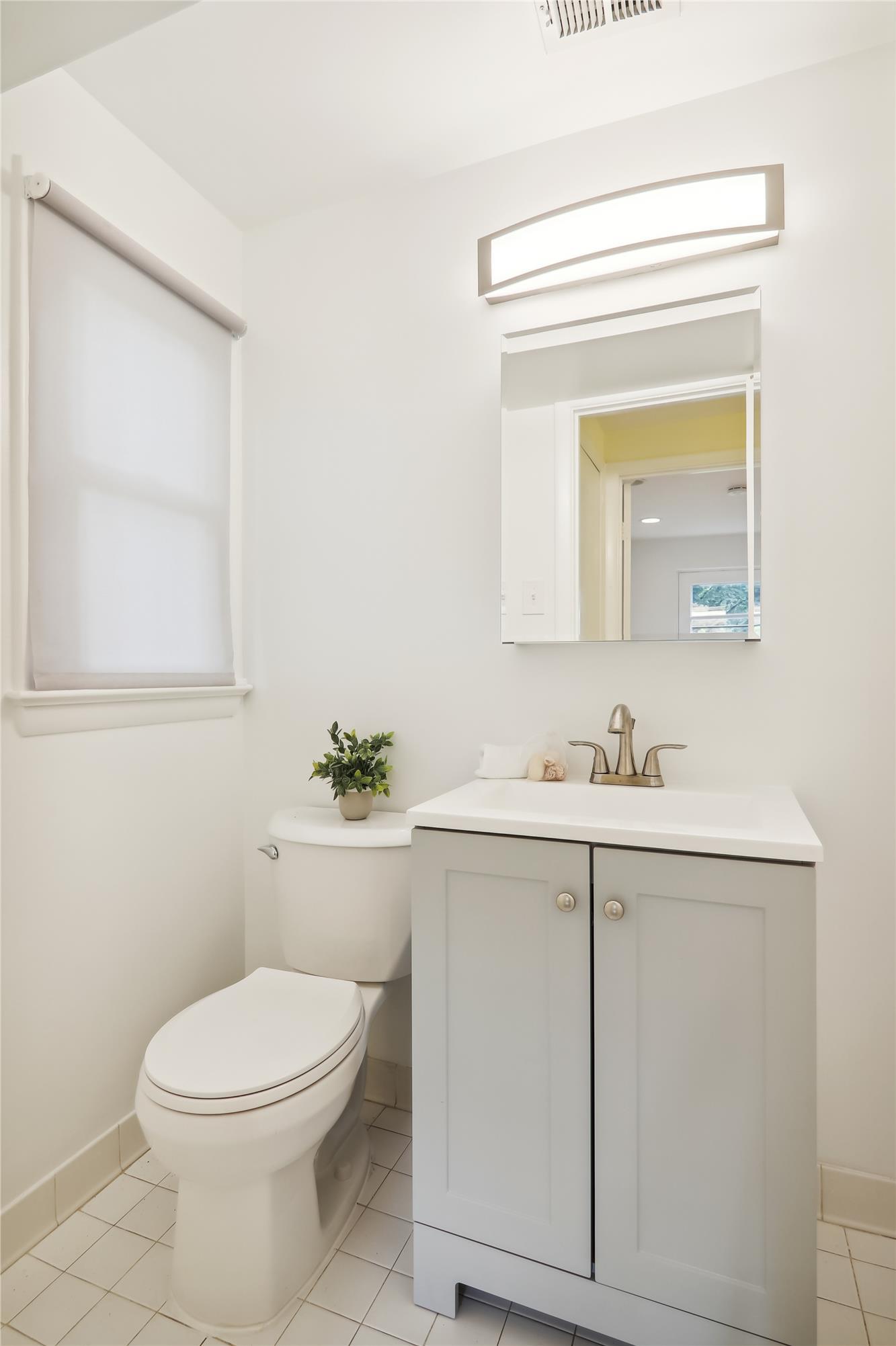 Lower Level - Bathroom