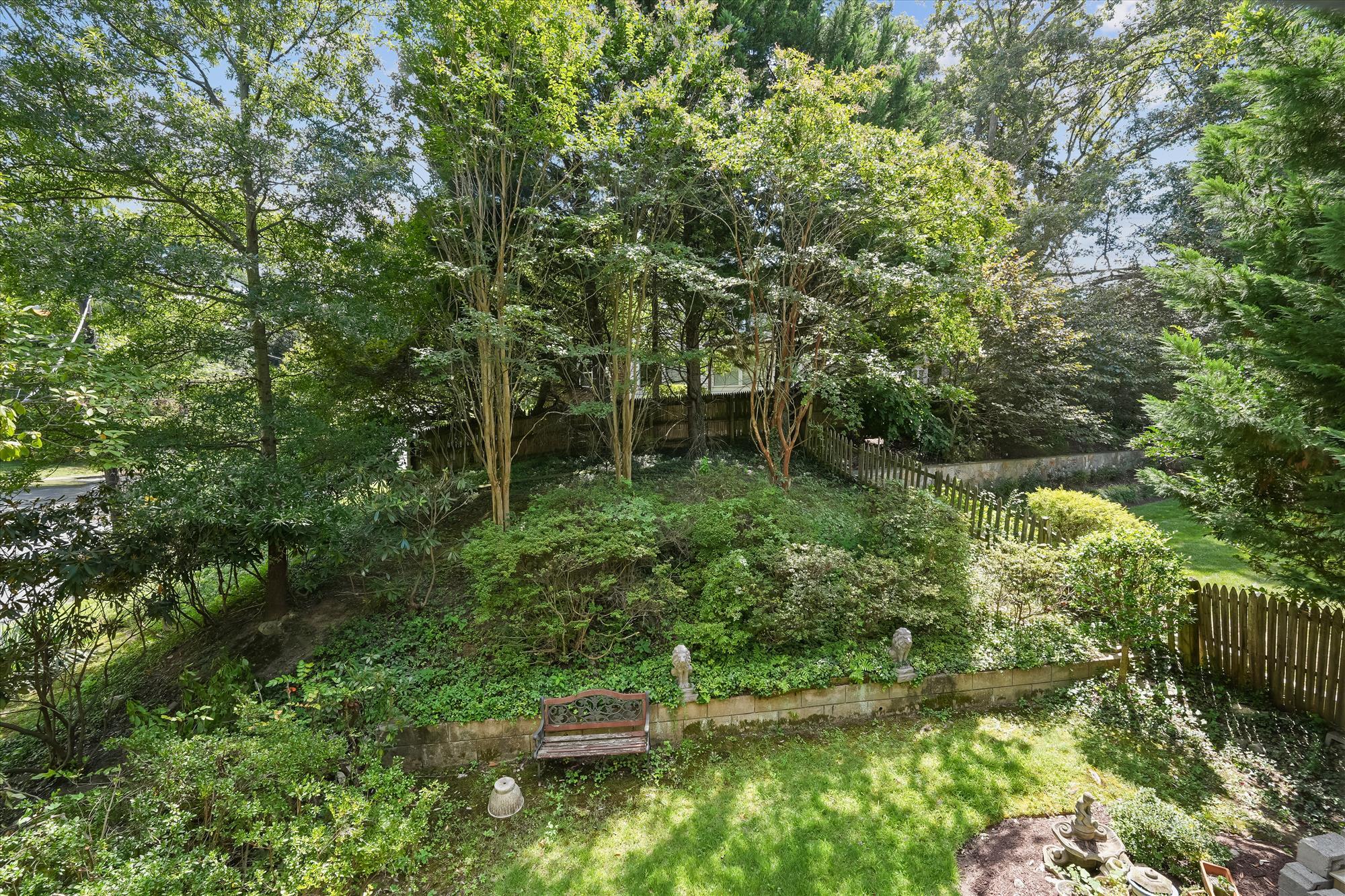 Exterior - Back Yard