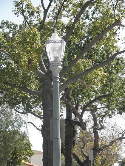 California Heights lamp post