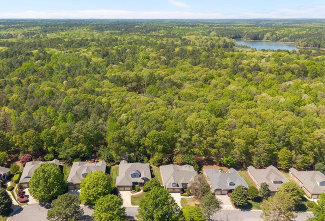 Aerial View of Daltons Ridge Homes, Trees, and Falls Lake