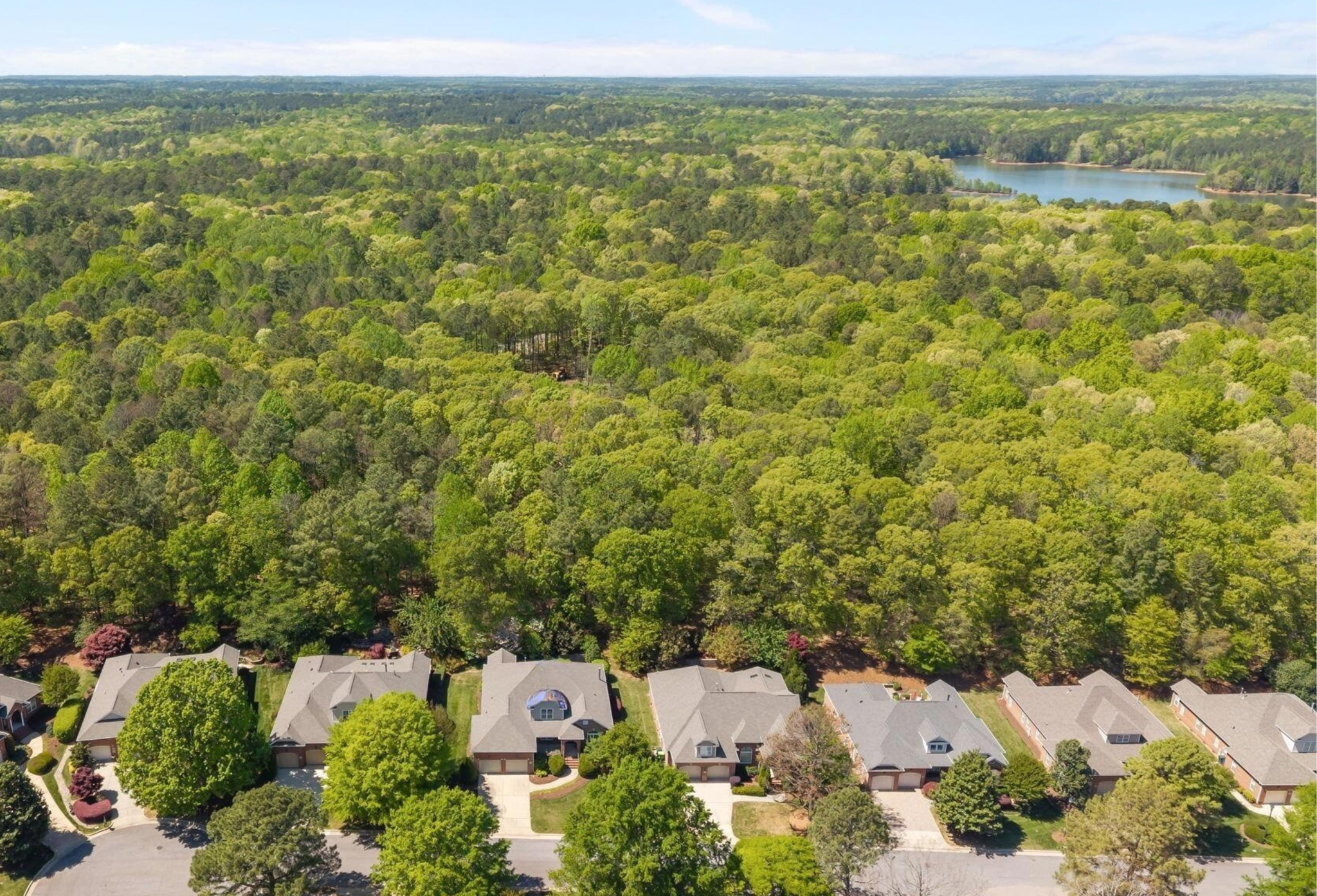 Aerial View of Daltons Ridge Homes, Trees, and Falls Lake