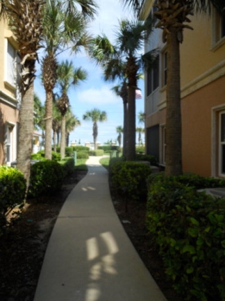 south beach flagler beach grounds