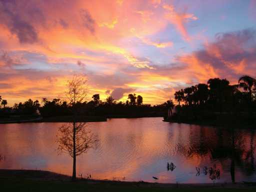 Palm Cove Golf and Yacht Club in Palm City, Florida