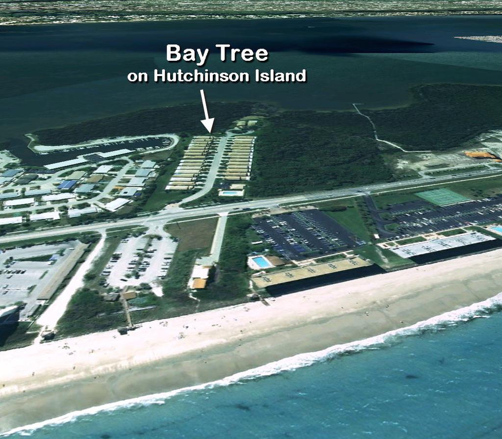 Bay Tree aerial on Hutchinson Island