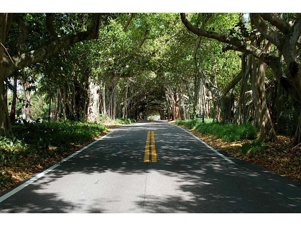 Banyan Tunnel on Saint Lucie Blvd.