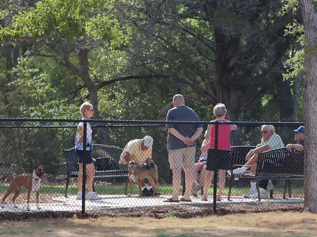 Sun City Doggy Park