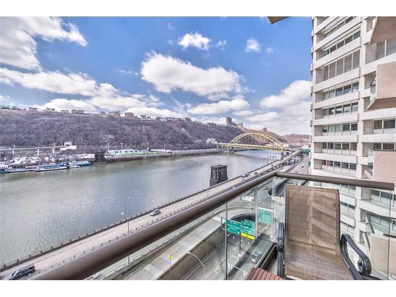 Beautiful Views of the Monongahela River and Beyond from your Balcony