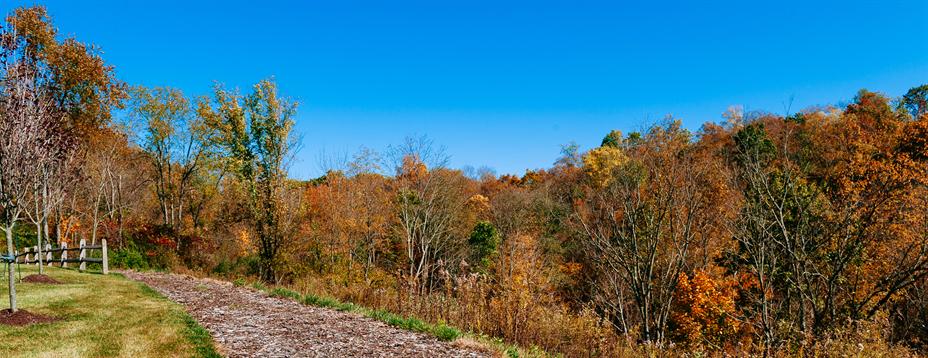 Walking Trail