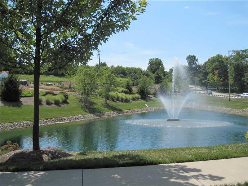 Look at the pretty pond right in the community!