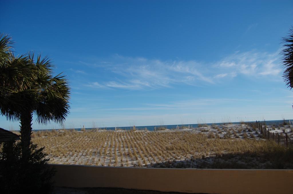 Seacrest Gulf Shores Alabama Condominiums For Sale and Community