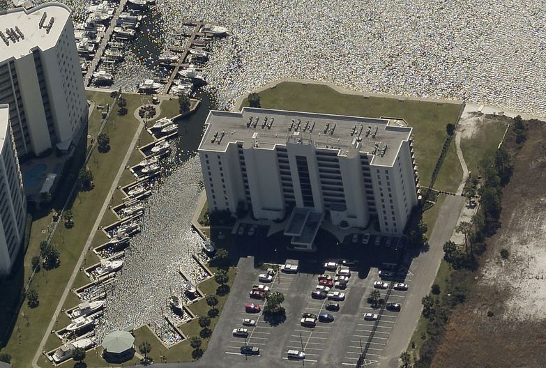 Back Bay Orange Beach Condos For Sale in Orange Beach Alabama