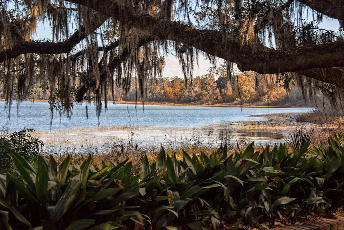 The Ravines in Northeast Tallahassee