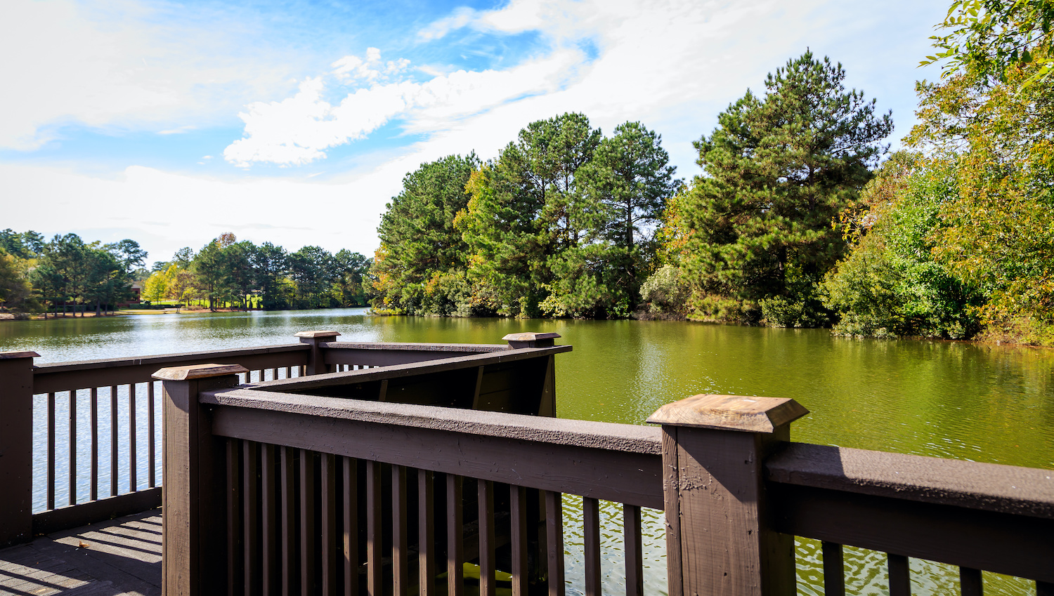Explore Pine Tip Hills, a Lakefront Neighborhood in Tallahassee