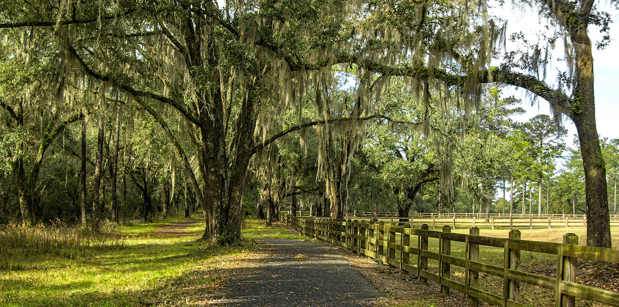 Explore Stone Mill at Bull Run, a Tallahassee, FL Neighborhood