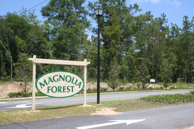 Magnolia Forest Subdivision
Lots for Sale in Quincy, FL by
Debbie Kirkland, Realtor
Armor Realty of Tallahassee, I