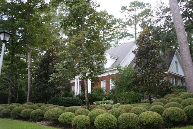 Betton Hills Tallahassee Neighborhood Home With Professional Landscaping