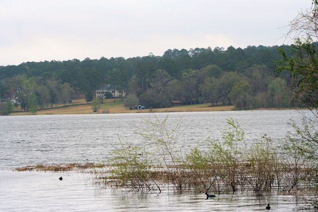 View of Lake Jackson from Lakeshore Drive Neighborhood