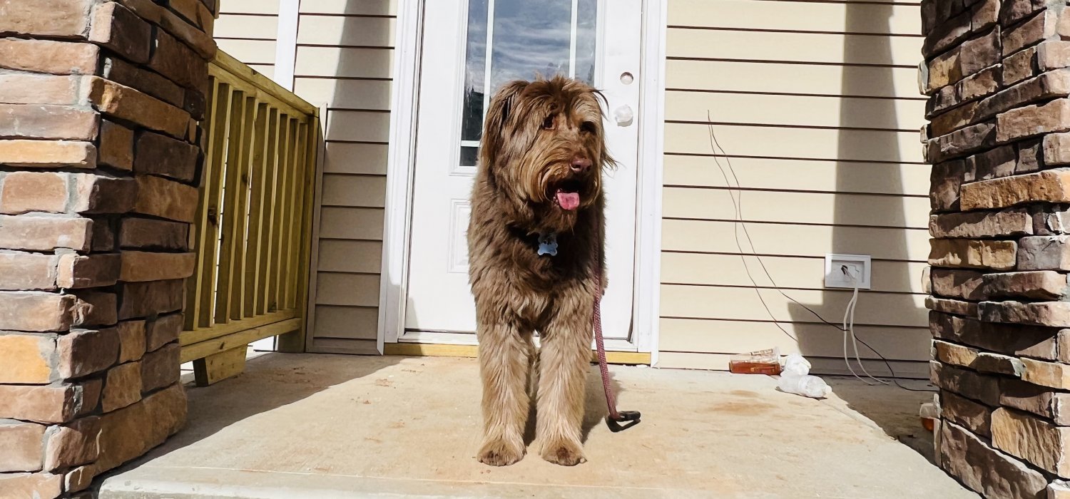 Michelle Odom Elite Realty Team Your Johnston County Real Estate Resource