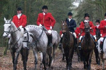 riders on a fox chase