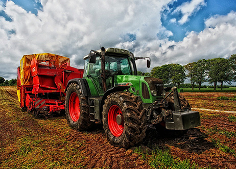 Hill Ridge Farms, Youngsville