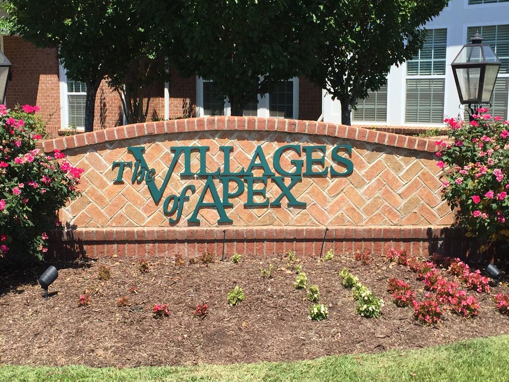 The Villages of Apex Neighborhood & Homes for Sale
