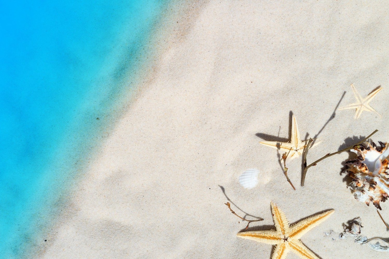 Explore The Princess Condos for Sale in Jensen Beach, FL