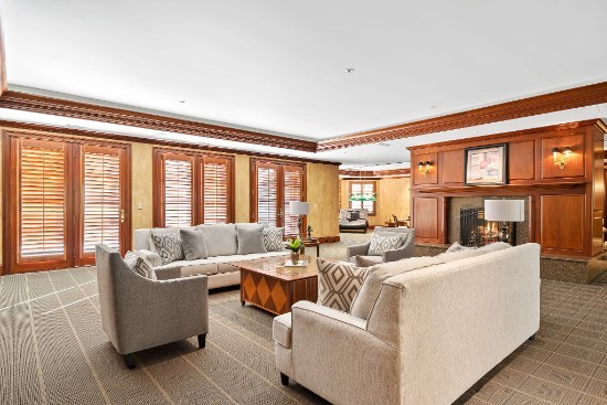 living room area of12324 birchfalls drive