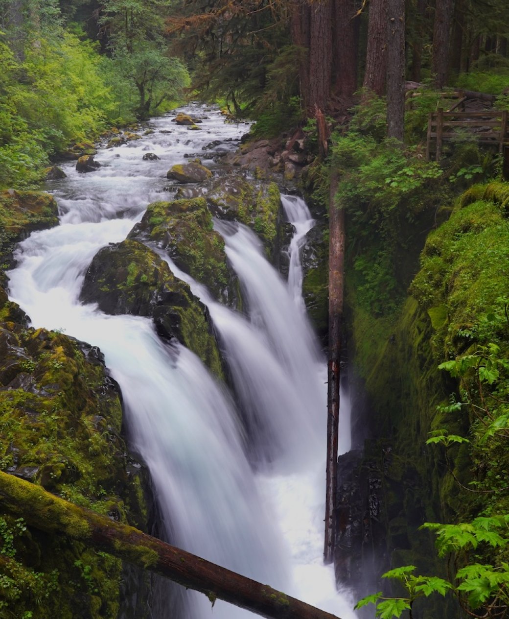 Discover a different way to live and work on the Olympic Peninsula, where natural beauty, welcoming communities, and room to breathe come with the address.