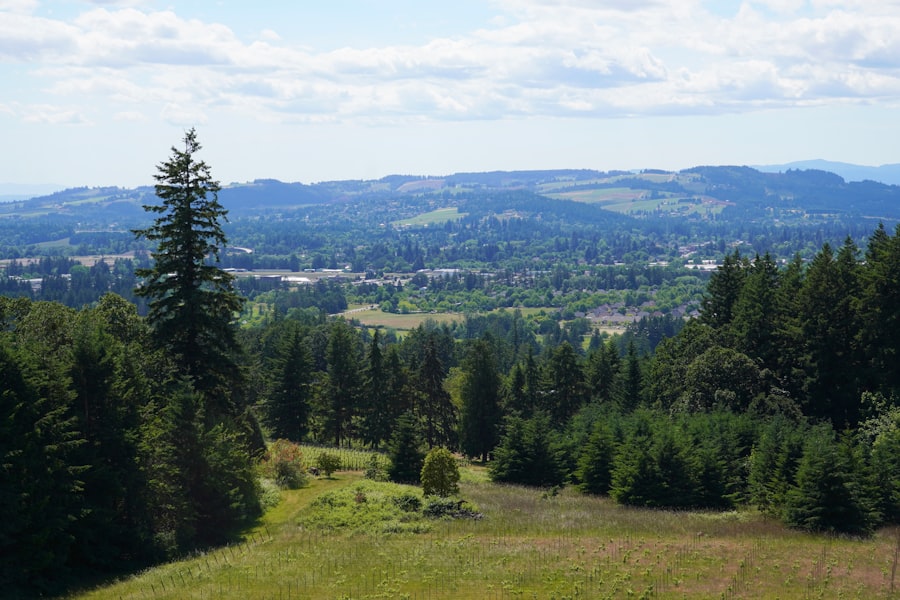 Land & Acreage