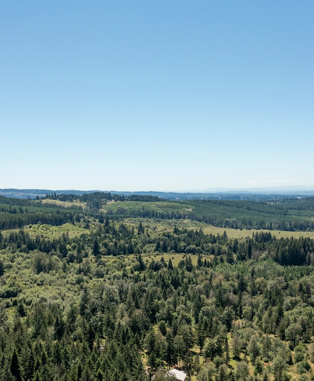 From vacant land to unique properties, local knowledge matters when the opportunity doesn’t fit neatly into a standard home search.