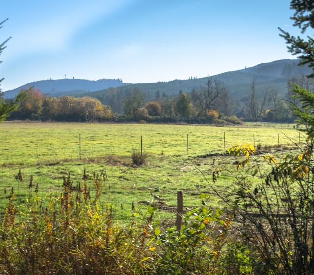 Land & Unique Properties