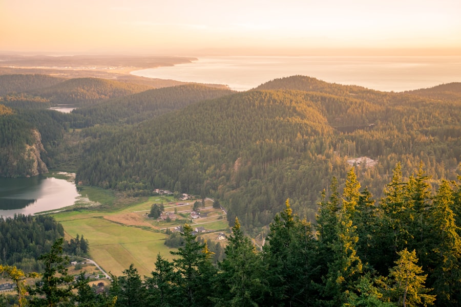 Olympic Peninsula