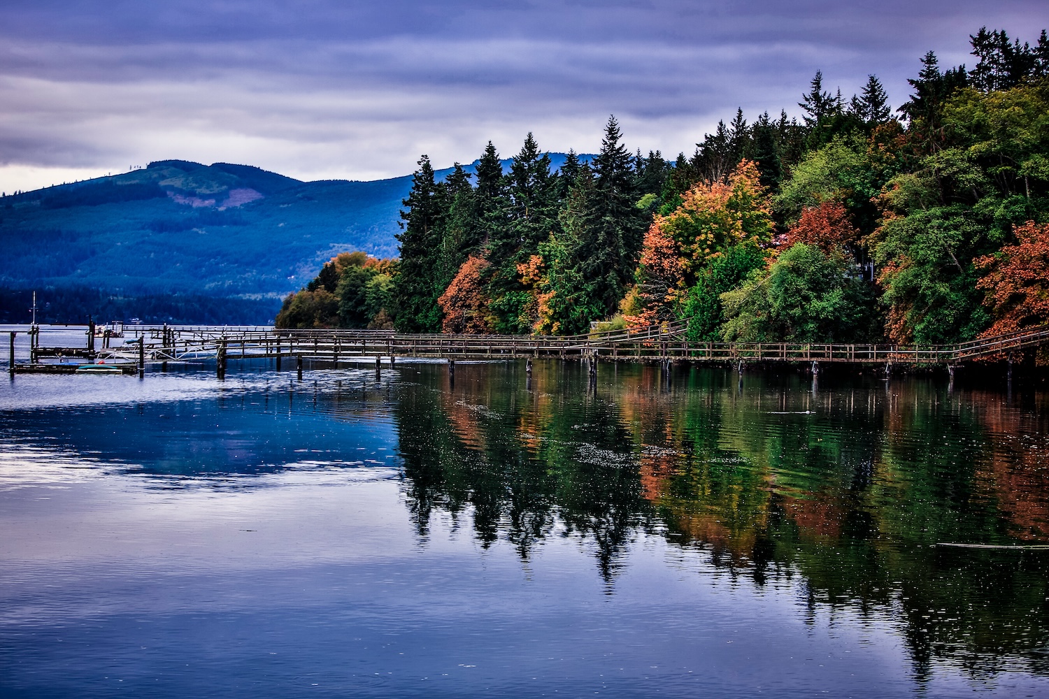 Remote work home in Sequim and the Dungeness Valley