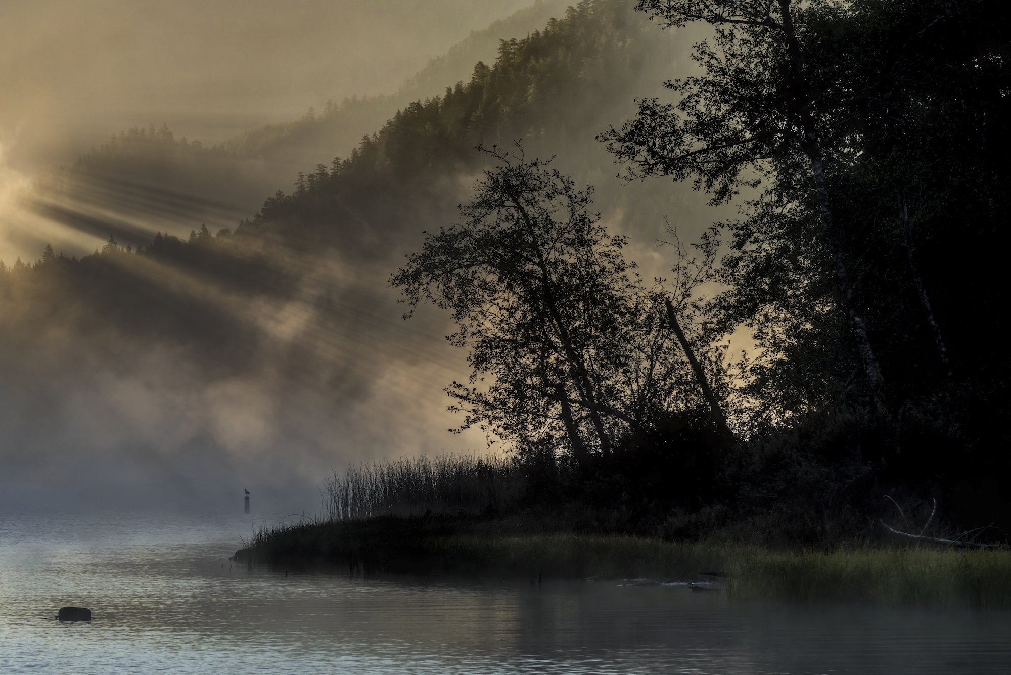 Port Angeles and Sequim Real Estate Home Buyers Assistance Provided by