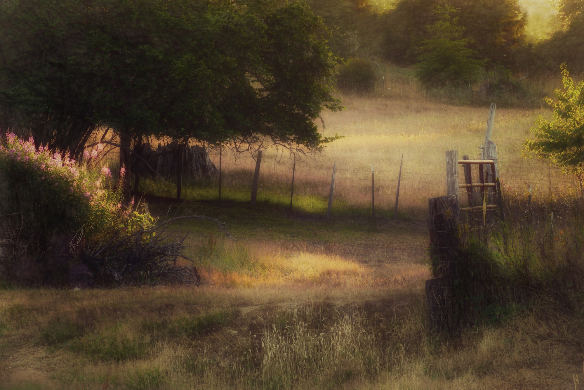 Relocation Guide for the Washington Area