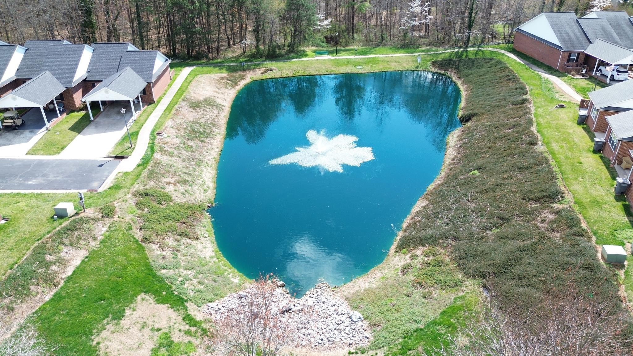 Community Pond