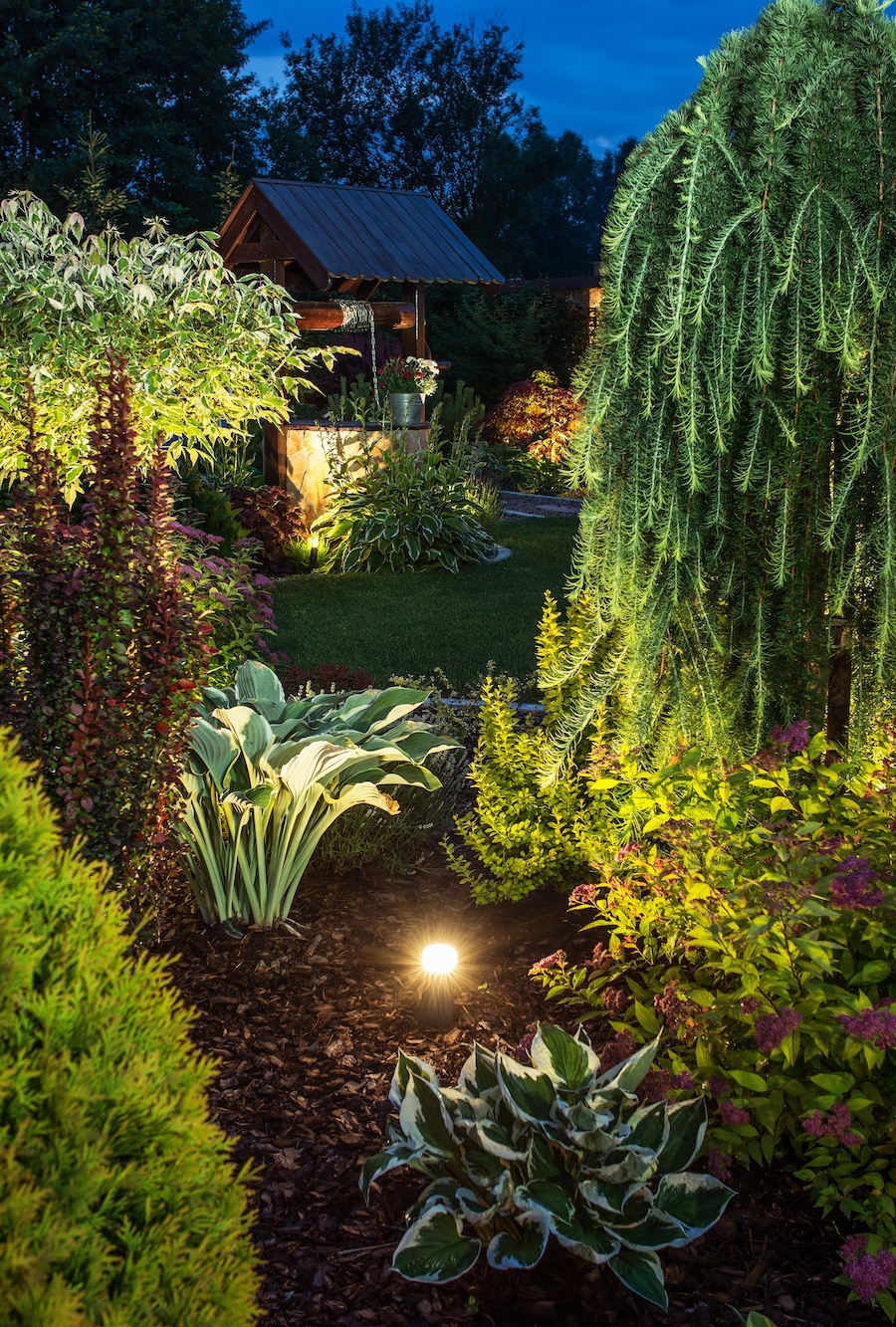 Garden Lights