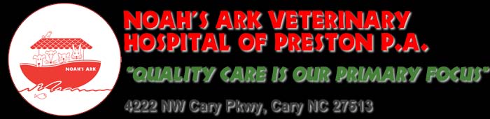 Noah's Ark Veterinary Hospital