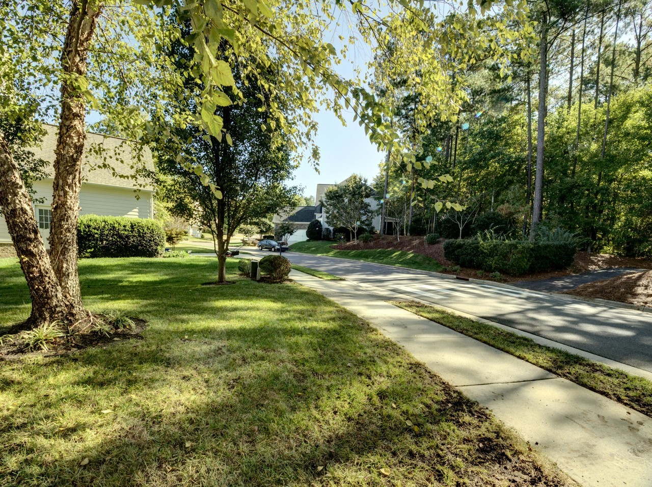 Neighborhood Street View