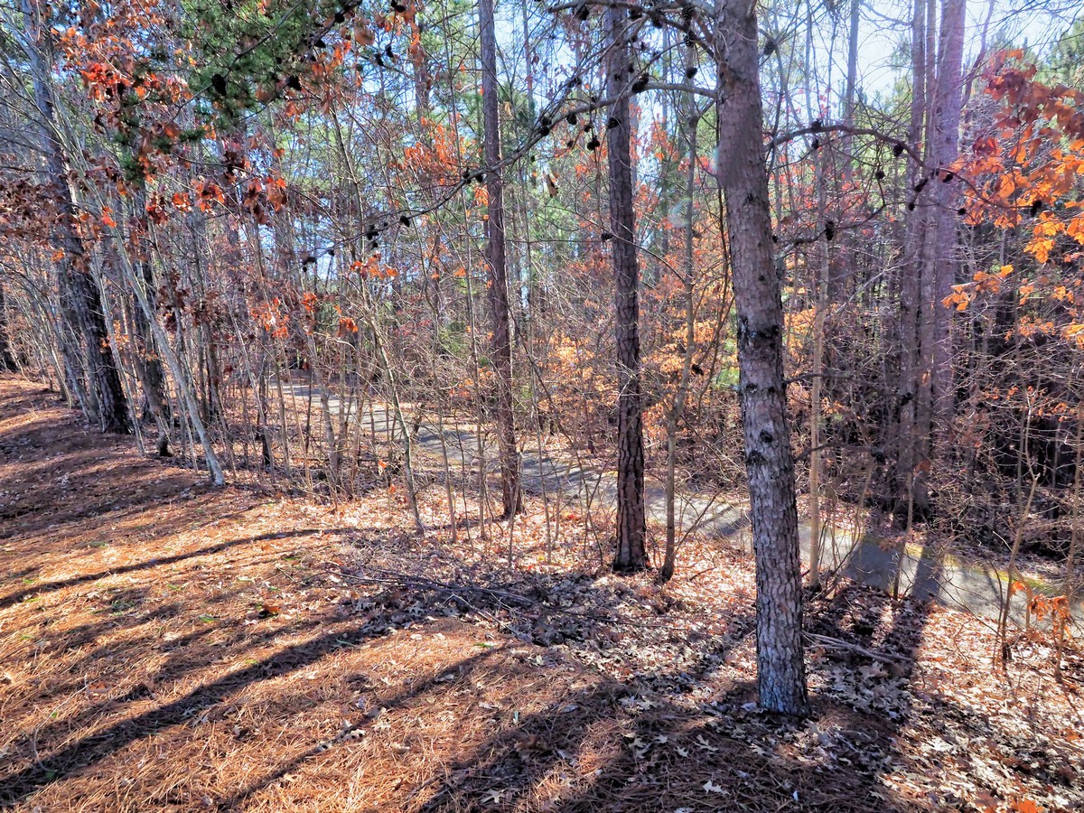 Greenway Trail