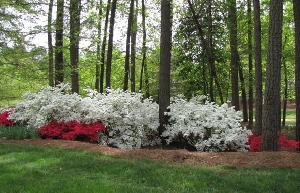 Westpark Neighborhood Trail