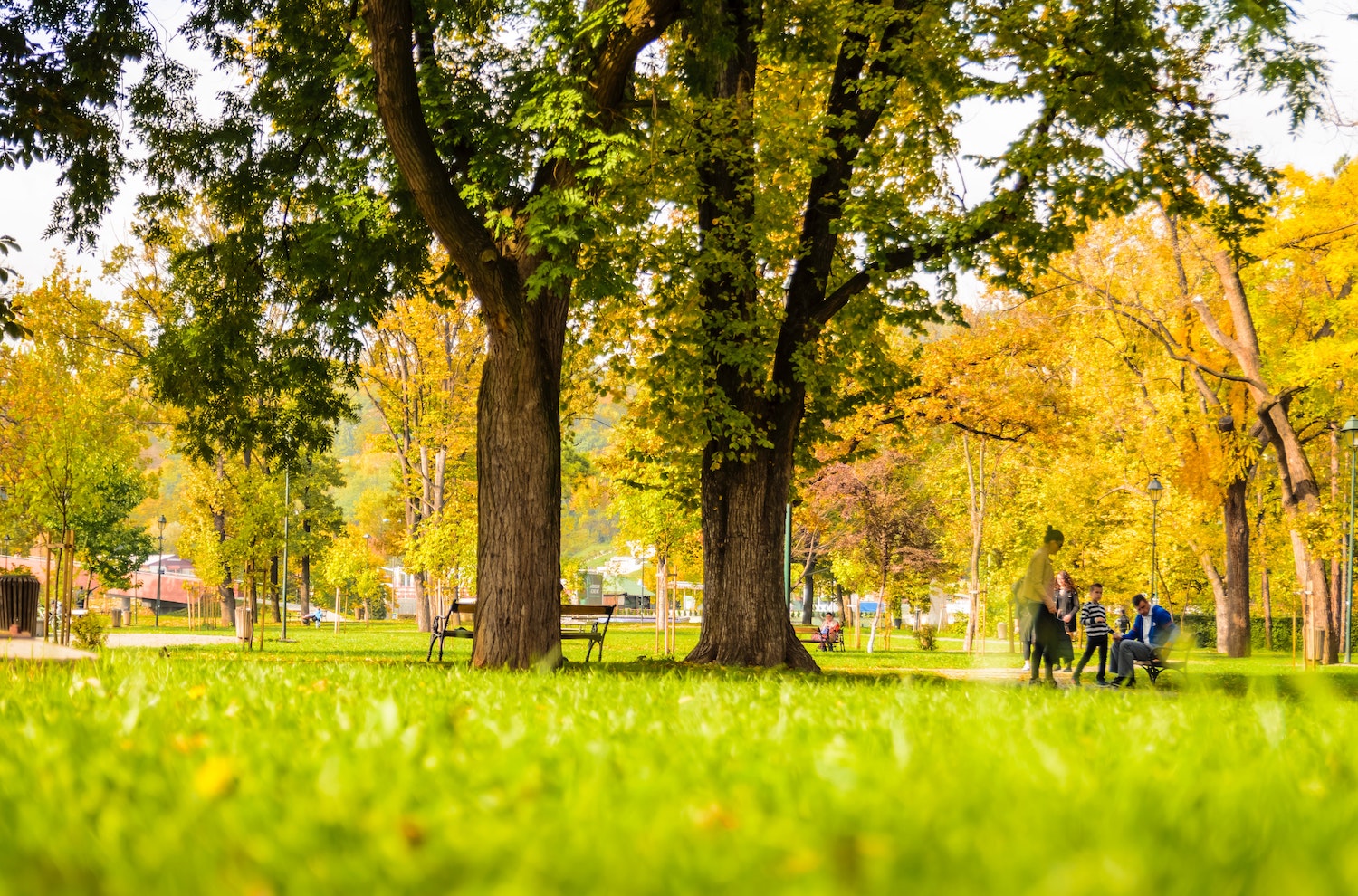 Explore the Village of Alden Bridge in The Woodlands, TX