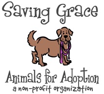 Saving Grace Animals for Adoption