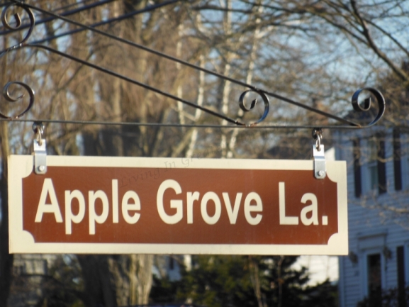 Apple Grove