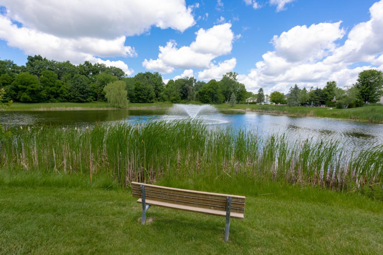 Woodland Springs - Hidden Shadow Pond bench
