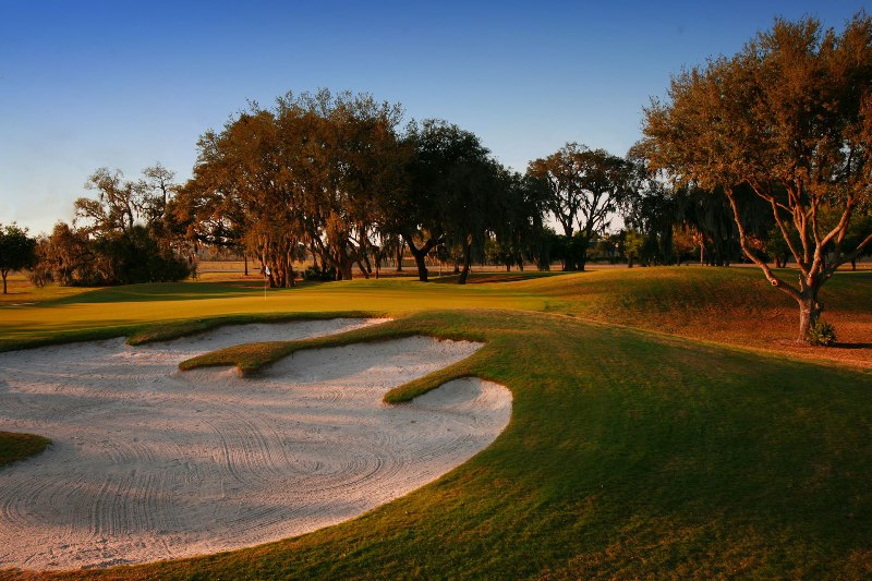 Fox Hollow Trinity Real Estate Homes Tampa Bay Real Estate