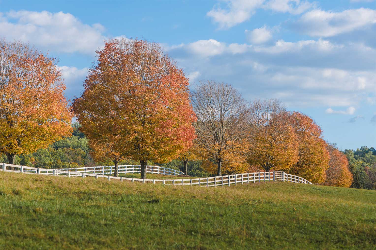 Why List Your Home with Marsha Marsh Real Estate Services?