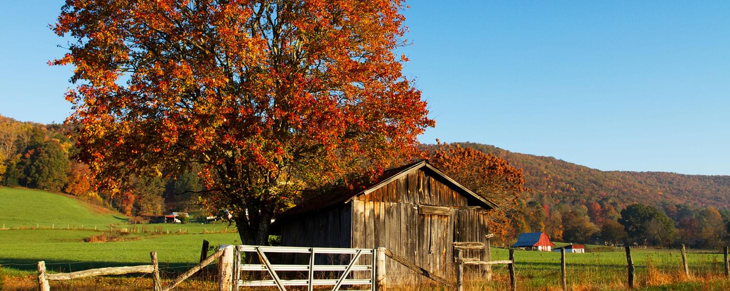 Matheny Real Estate Your Rutherford County Real Estate Resource