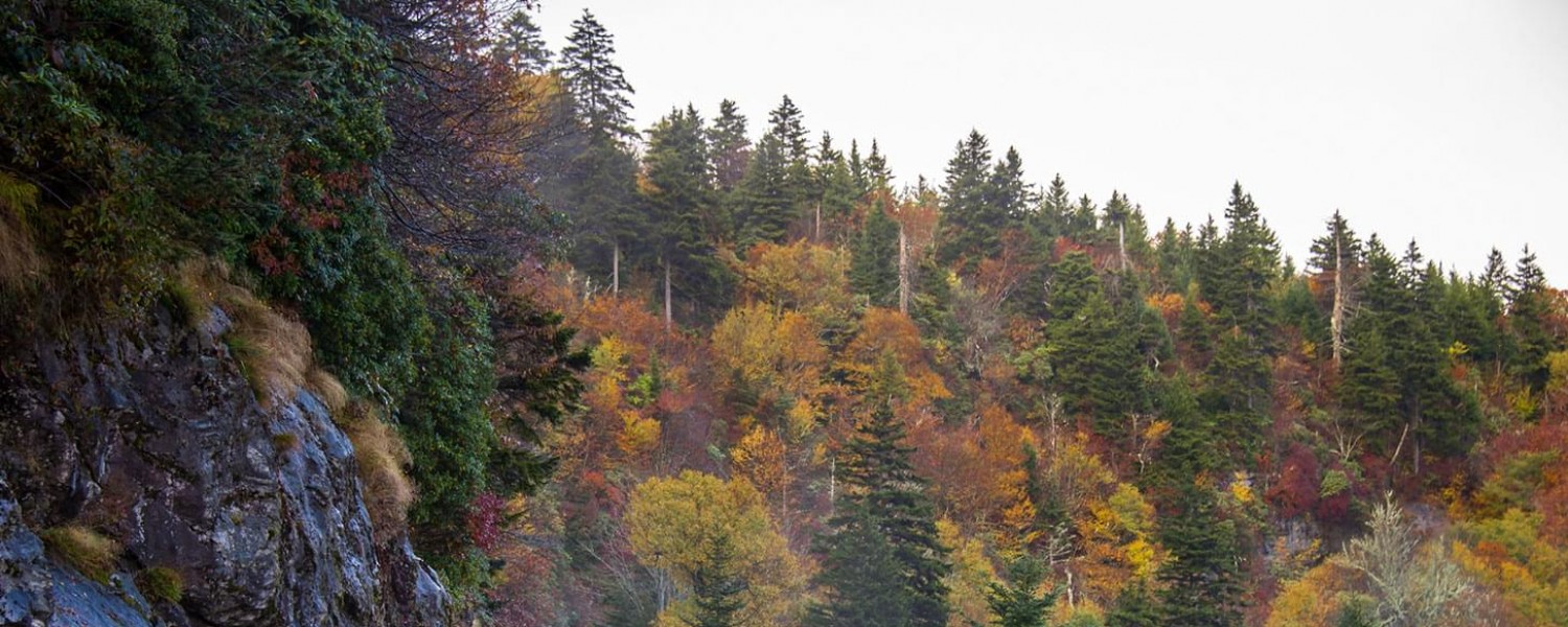 Matheny Real Estate Your Rutherford County Real Estate Resource