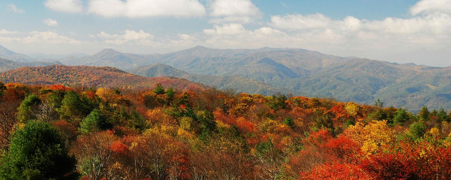 Matheny Real Estate Your Rutherford County Real Estate Resource